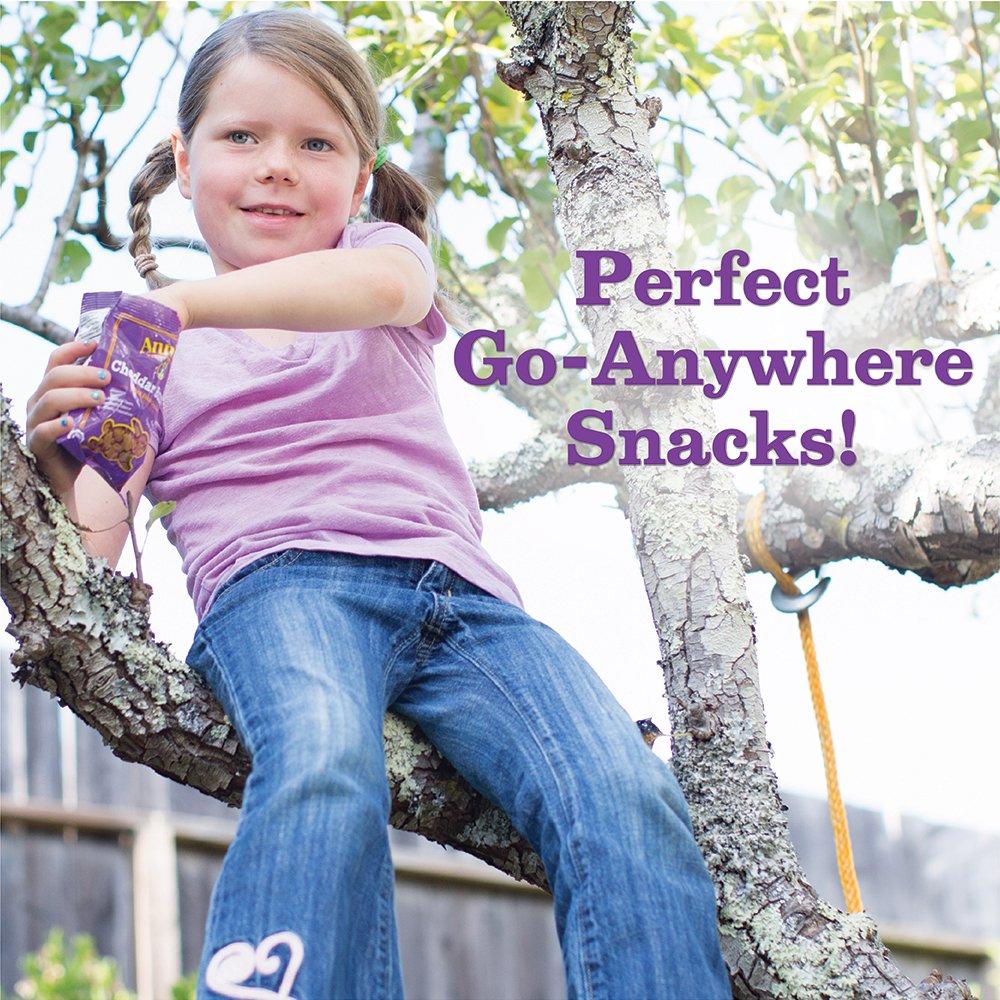 Annie's Homegrown Annie\'s Snack Pack Variety Cheddar Bunnies/Friends Bunny Grahams/Cheddar Squares Crackers 12 ct 11 oz