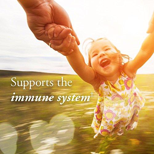 Garden of Life Garden of Life Organics Vitamin C Spray for Kids and Adults - Orange Tangerine, Vitamin C Supplement, Antioxidant for Immune Support and Skin Health, 2 fl oz Liquid Drops