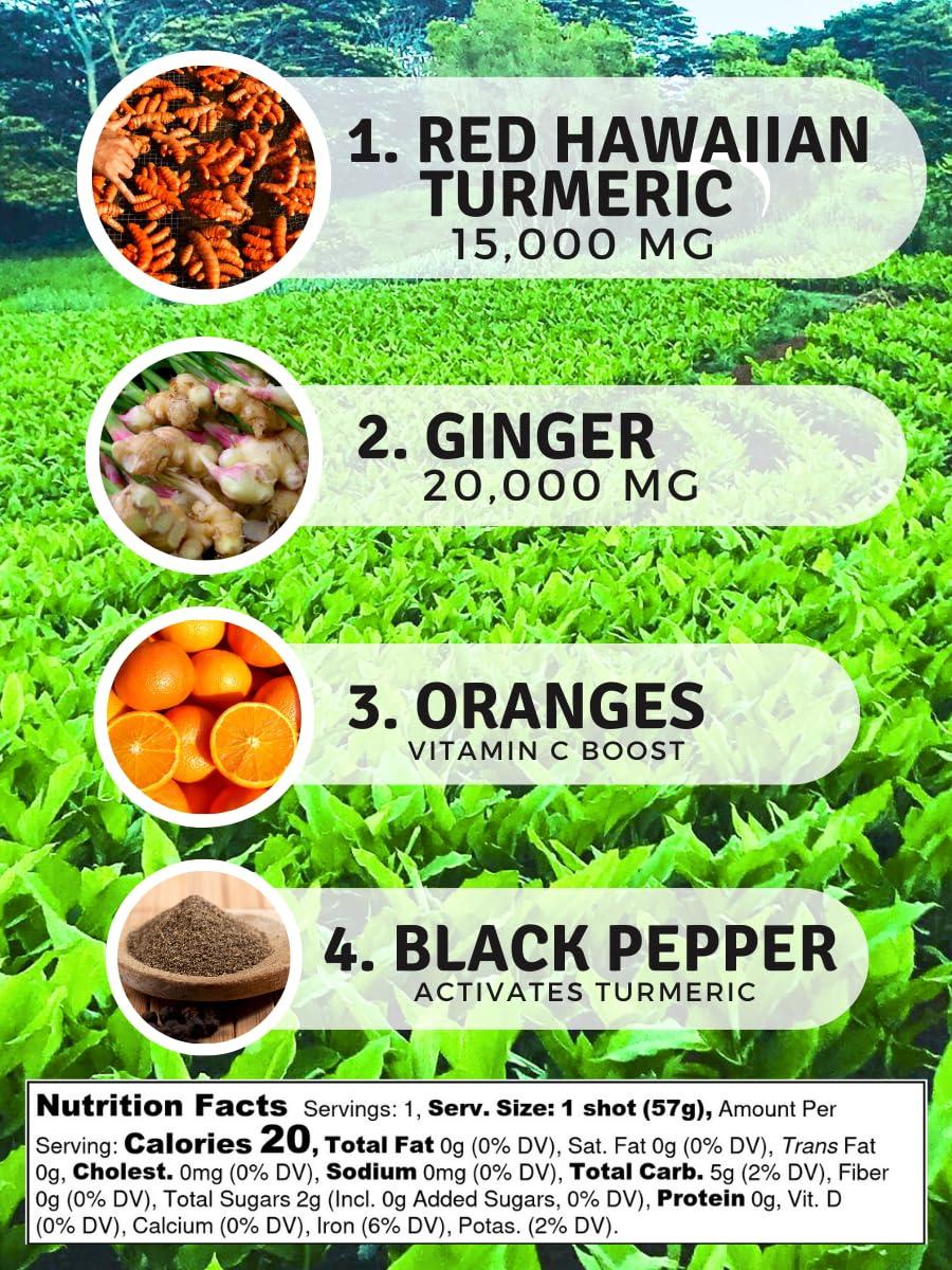 Elixir Shots Elixir Shots, Immunity Boost Wellness Shot with Cold-Pressed Turmeric, Ginger, Orange and Black Pepper, No Added Sugars or Artificial Ingredients,12-pack