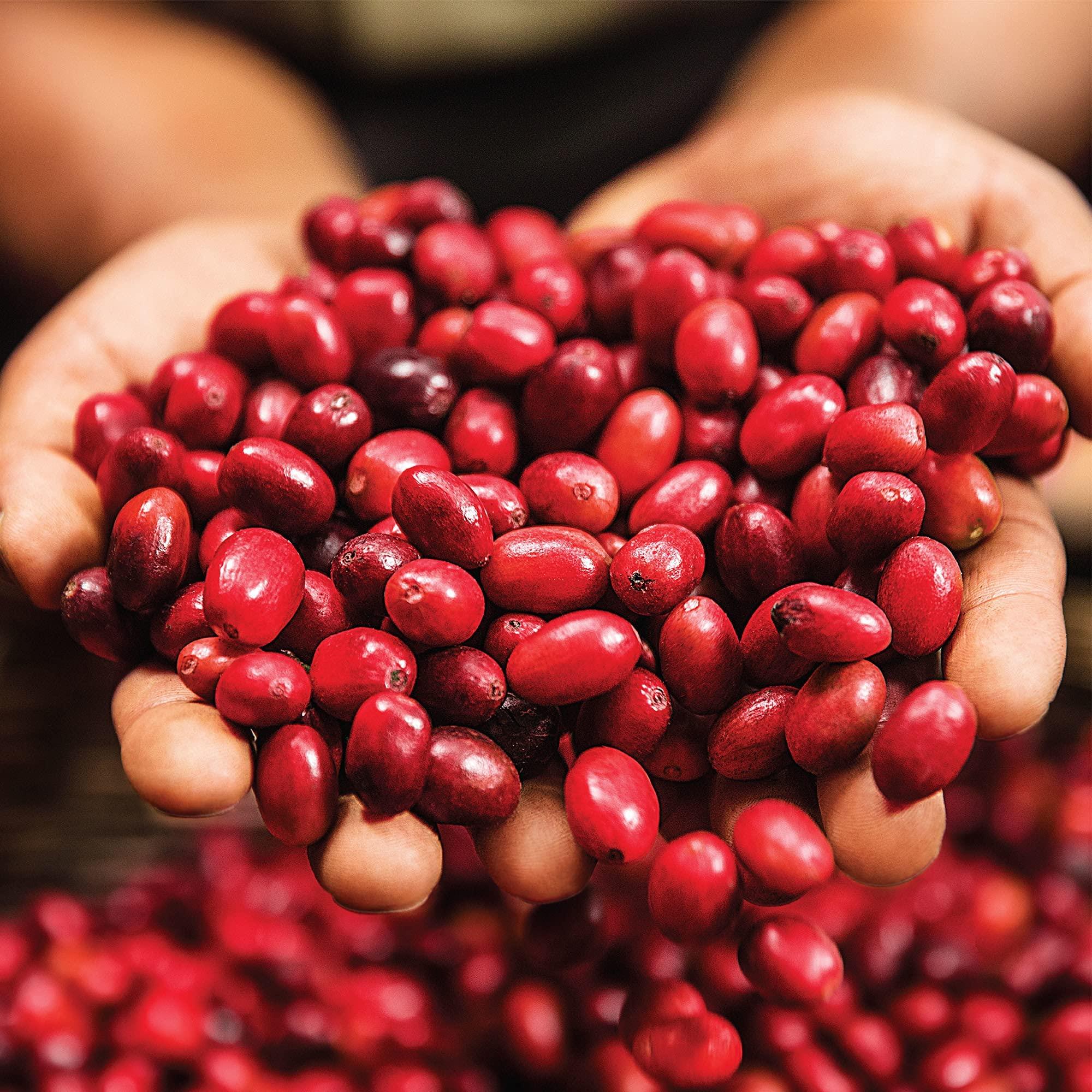 Green Mountain Coffee Roasters Green Mountain Coffee Roasters, Breakfast Blend Decaf, Ground Coffee, Decaffeinated, Light Roast, Bagged 12oz.