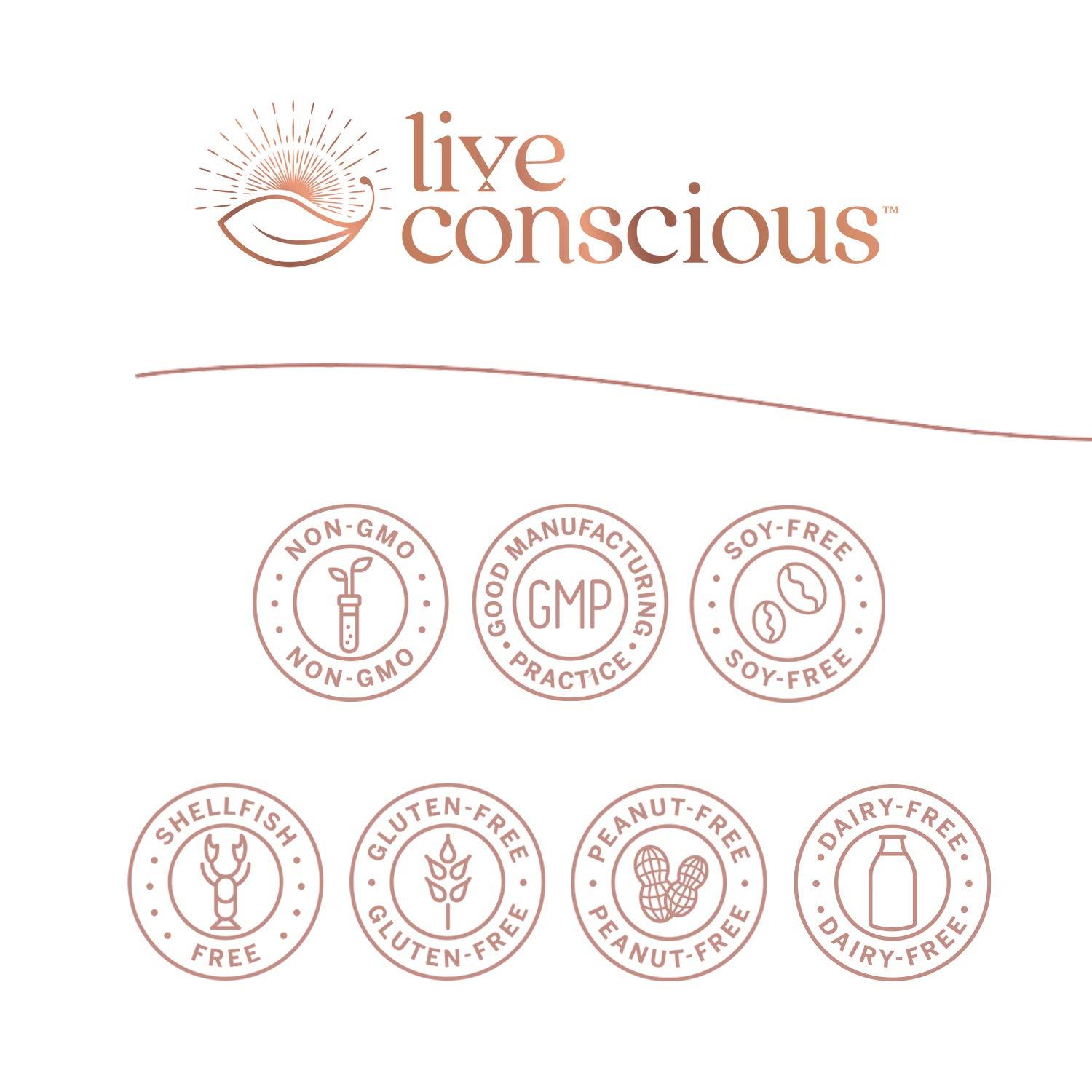 Live Conscious Live Conscious CurcuWell - Curcumin and Boswellia Blend | Maximum Strength Joint, Body and Cognitive Support - 60 Day Supply (2-Pack)