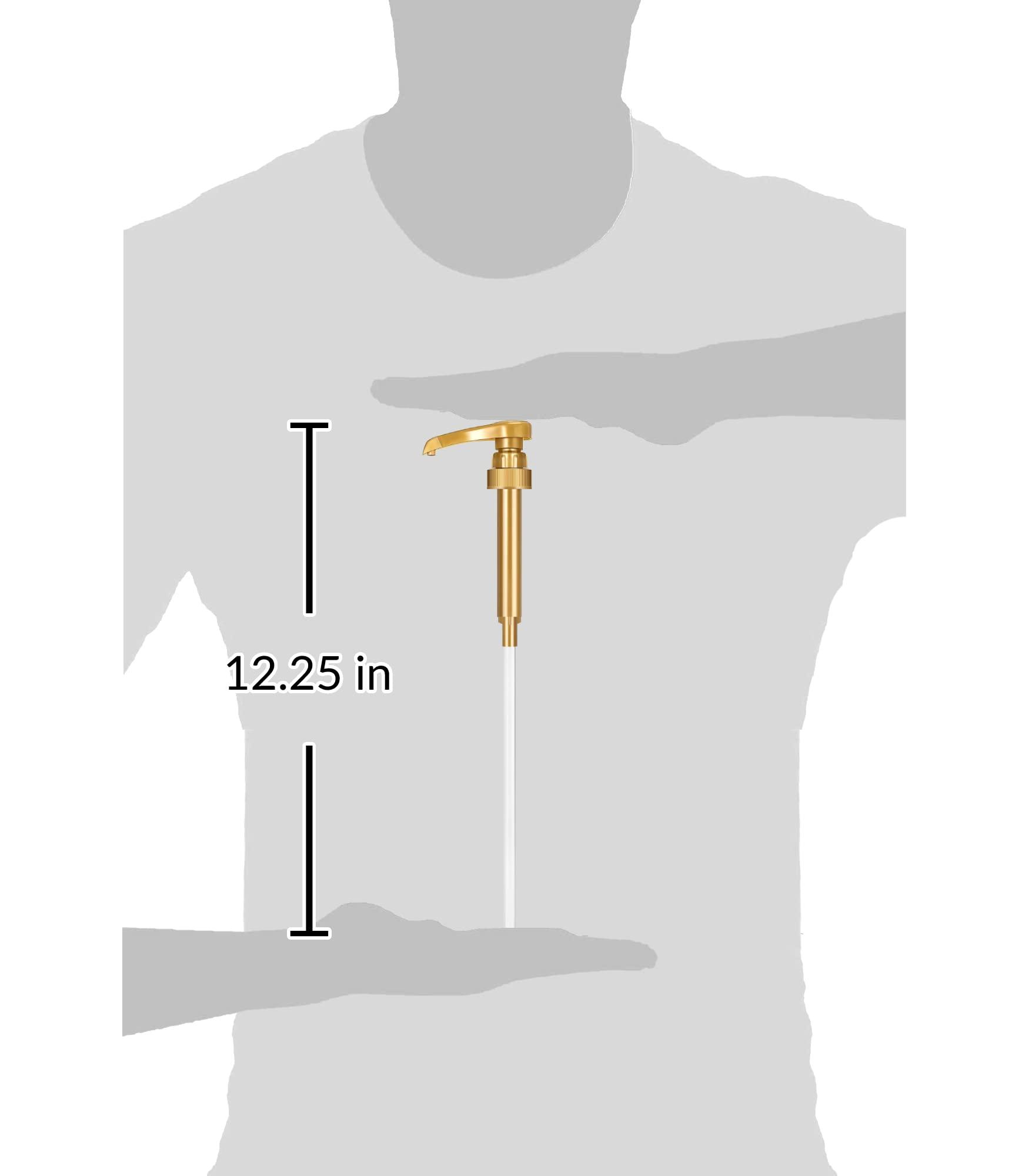 little squirt syrup pump Torani Sugar Free French Vanilla Syrup with Little Squirt Syrup Pump, 750ml 25.4 Ounces