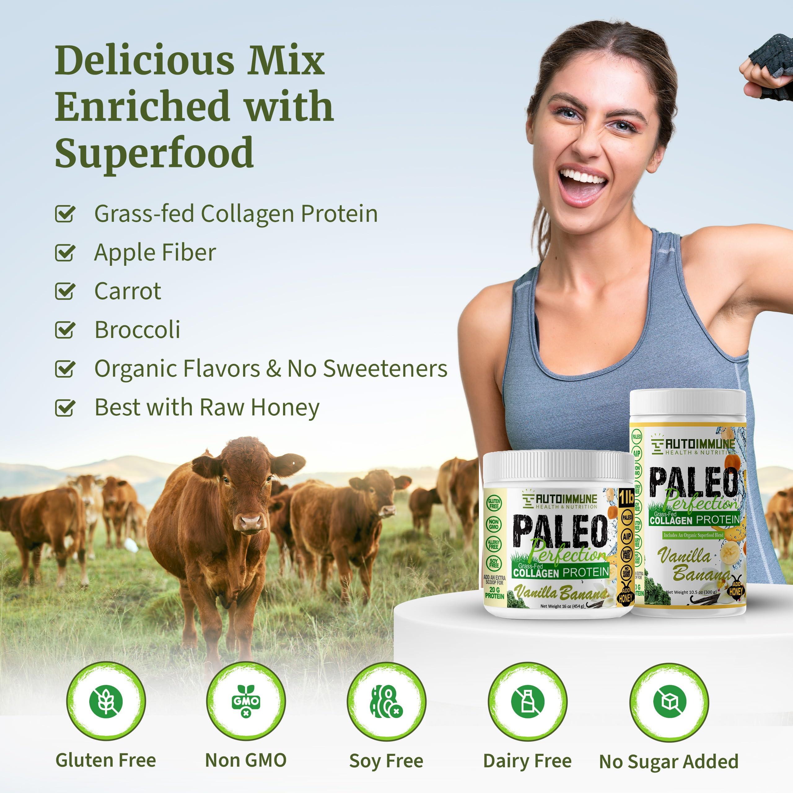 AUTOIMMUNE HEALTH & NUTRITION Paleo Perfection Vanilla Banana Grass Fed Beef Collagen Protein Powder without Stevia - Paleo, Keto, SCD, AIP Protein Powder with Apple Fiber, Carrot & Broccoli - 300g Protein Powder & Superfood Blend