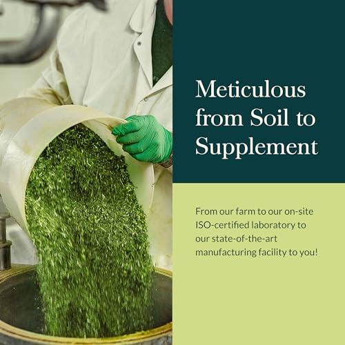 Gaia Herbs Gaia Herbs Gut Revival - Herbal Digestive Supplement to Support Gut Health - Made with Astragalus, Gotu Kola, Jujube & More - Free from Dairy, Soy & Gluten - 60 Vegan Capsules (60 Servings)