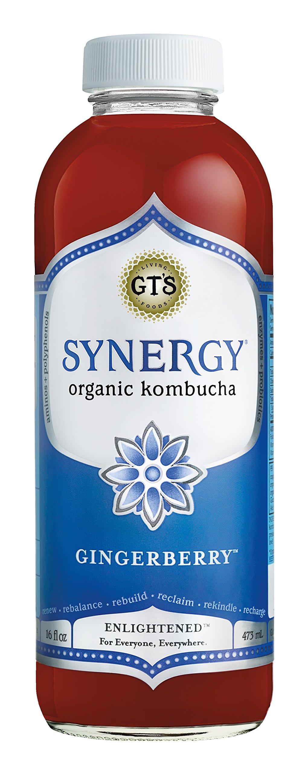 GT'S ENLIGHTENED KOMBUCHA GT'S ENLIGHTENED KOMBUCHA Synergy Organic Kombucha Tea, Gingerberry, 16.2 Ounce (Pack of 12)