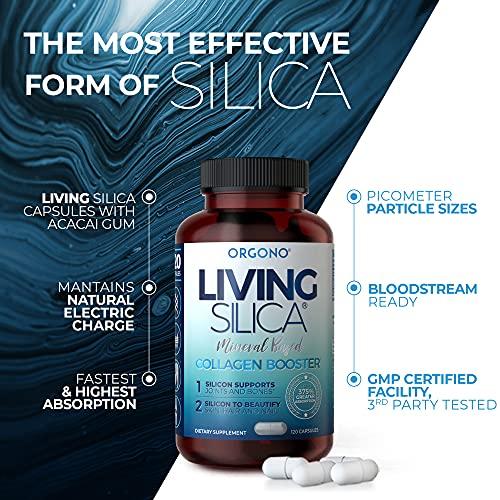 Orgono Living Silica Living Silica Collagen Booster Capsules | Ultra High Absorption | Supports Healthy Collagen and Elastin Production for Joint & Bone Support, Glowing Skin, Strong Hair & Nails (120 Count)