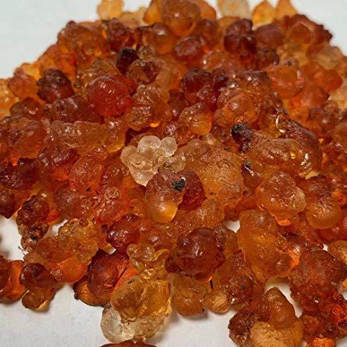 Trustworthy Herbs ?? (1 LB) Tao Jiao / Prunus Persica