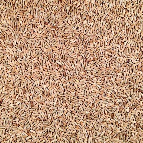 Grain Place Foods Grain Place Foods Non-GMO Organic Rye 25lb Bag
