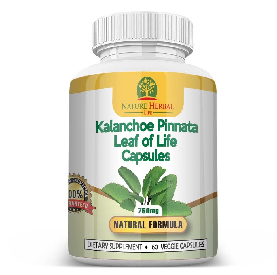 Nature Herbal Life Nature Herbal Life Kalanchoe Pinnata-Leaf of Life (Bryophyllum Pinnatum)Lao Di Sheng Gen, Capsules. 1 Bottle-750mg, 60 Count (Pack of 1)