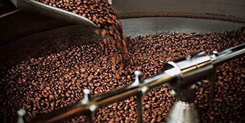 Legacy River Roasted Coffee Beans (Costa Rican Medium Roast, 1 lb)