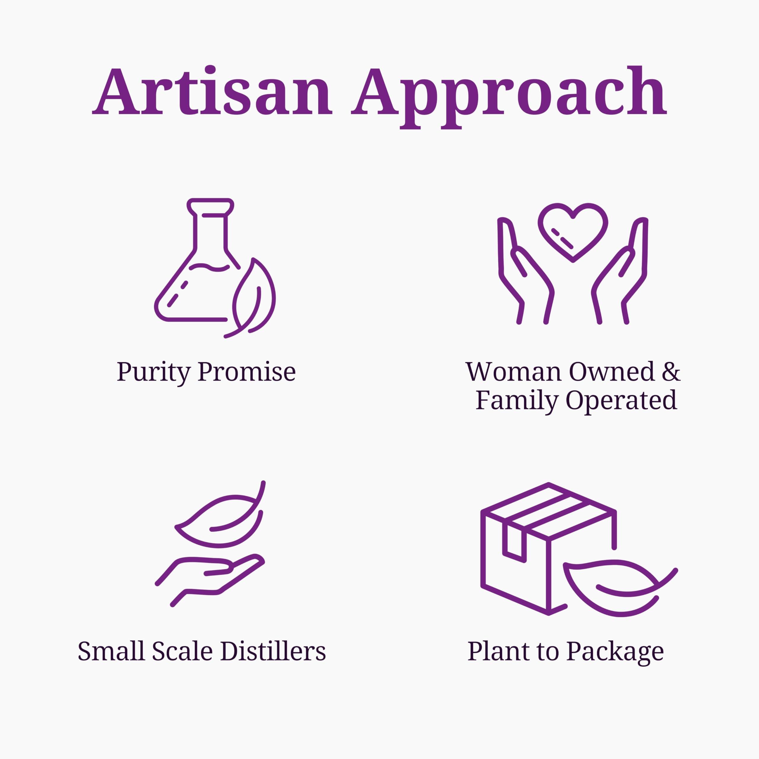 Aromatics International Aromatics International Trauma Oil 1 fl oz  Herbal Infused Carrier Oil for Massage, Body Care, and DIY Skincare Blends 30 mL