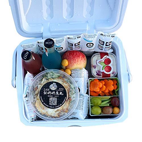 WORLD-BIO Shipping Cold Pack Ice Pack Sheets for Coolers Reusable, Dry Ice Packs Freezer Packs for Shipping Food, Flexible Ice Blankets Frozen Gel Packs Keep Food Fresh Beverage Cold, 13.3"x6.5"/Sheet 50 Sheets