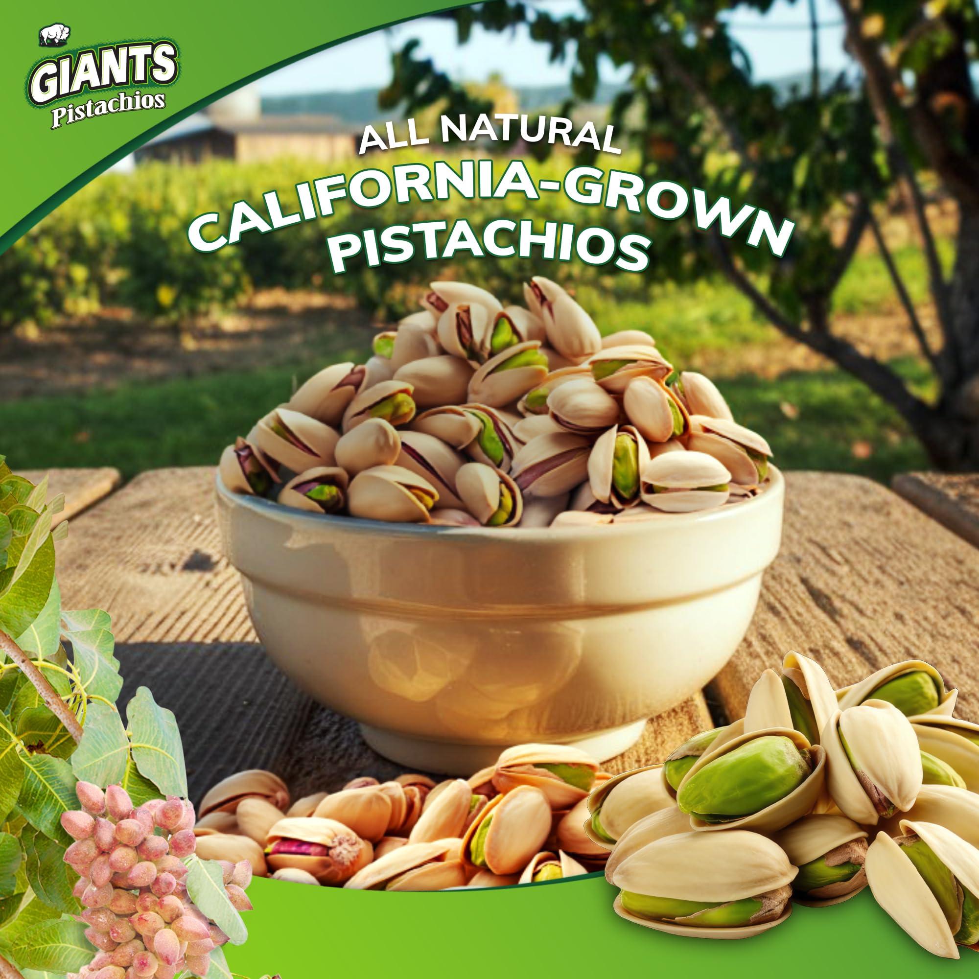 GIANTS GIANTS Dill Pickle Pistachios - Healthy Snacks, In Shell Pistachios Individual Packs, High Protein Snack, Flavored Pistachio Nuts - 4.5 oz Bags (Pack of 8)