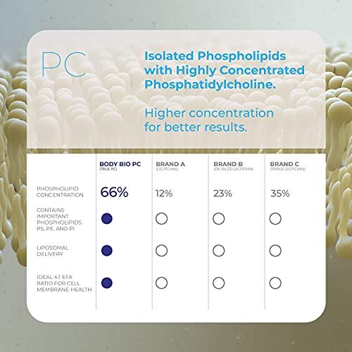 BodyBio BodyBio Phosphatidylcholine 60 Softgels - Nootropic Booster for Brain Health - Mental Clarity for Focus and Memory - Neuroprotection for Healthy Aging
