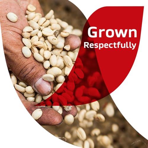 Nescafe NESCAF CLSICO Colombia, Medium Roast Instant Coffee, 6 oz. Jar