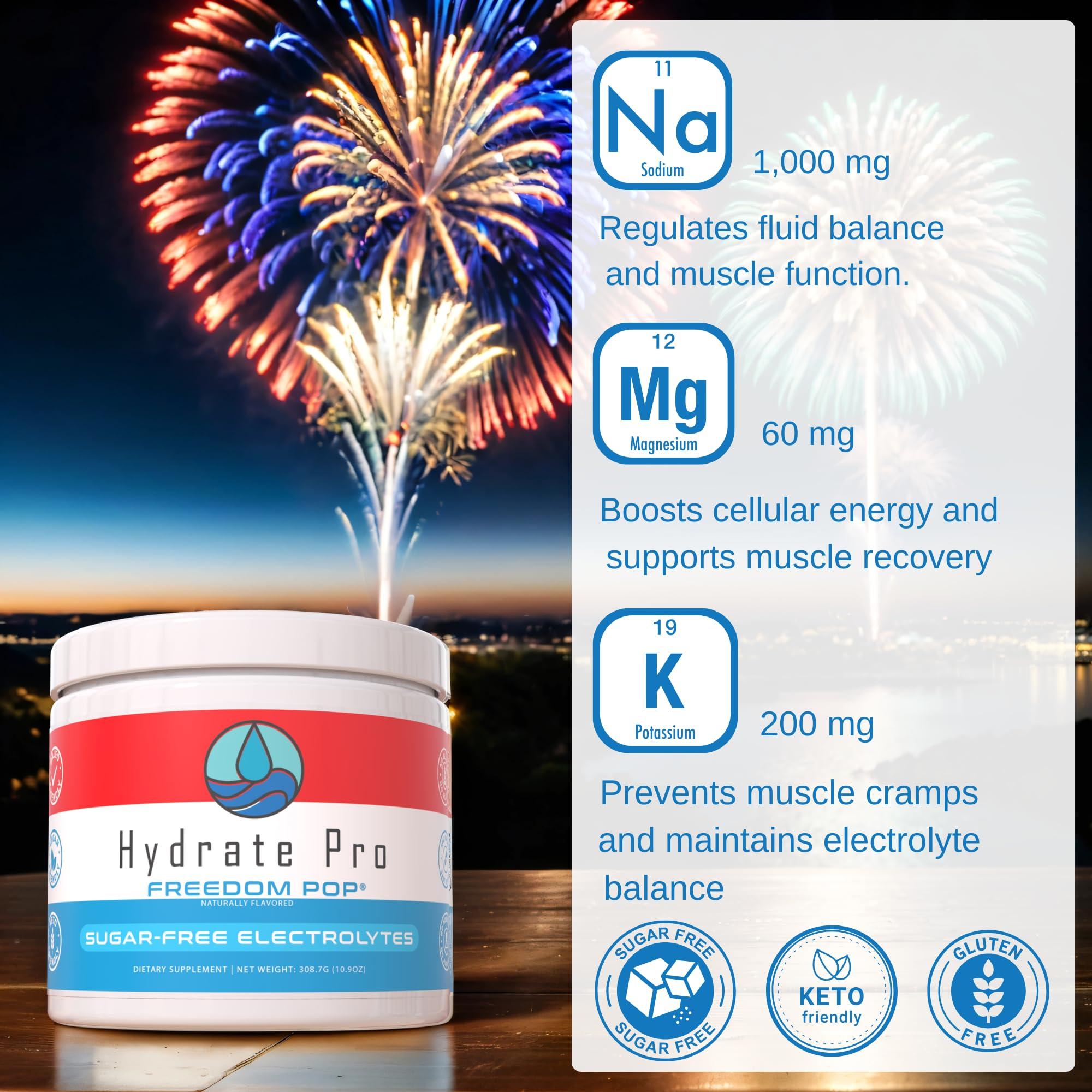 Hydrate Pro Hydrate Pro Sugar-Free Electrolyte Powder | 1000mg High-Sodium Electrolyte Complex | POTS Support & Keto Flu Prevention | 45 Servings Natural Hydration | Freedom Pop