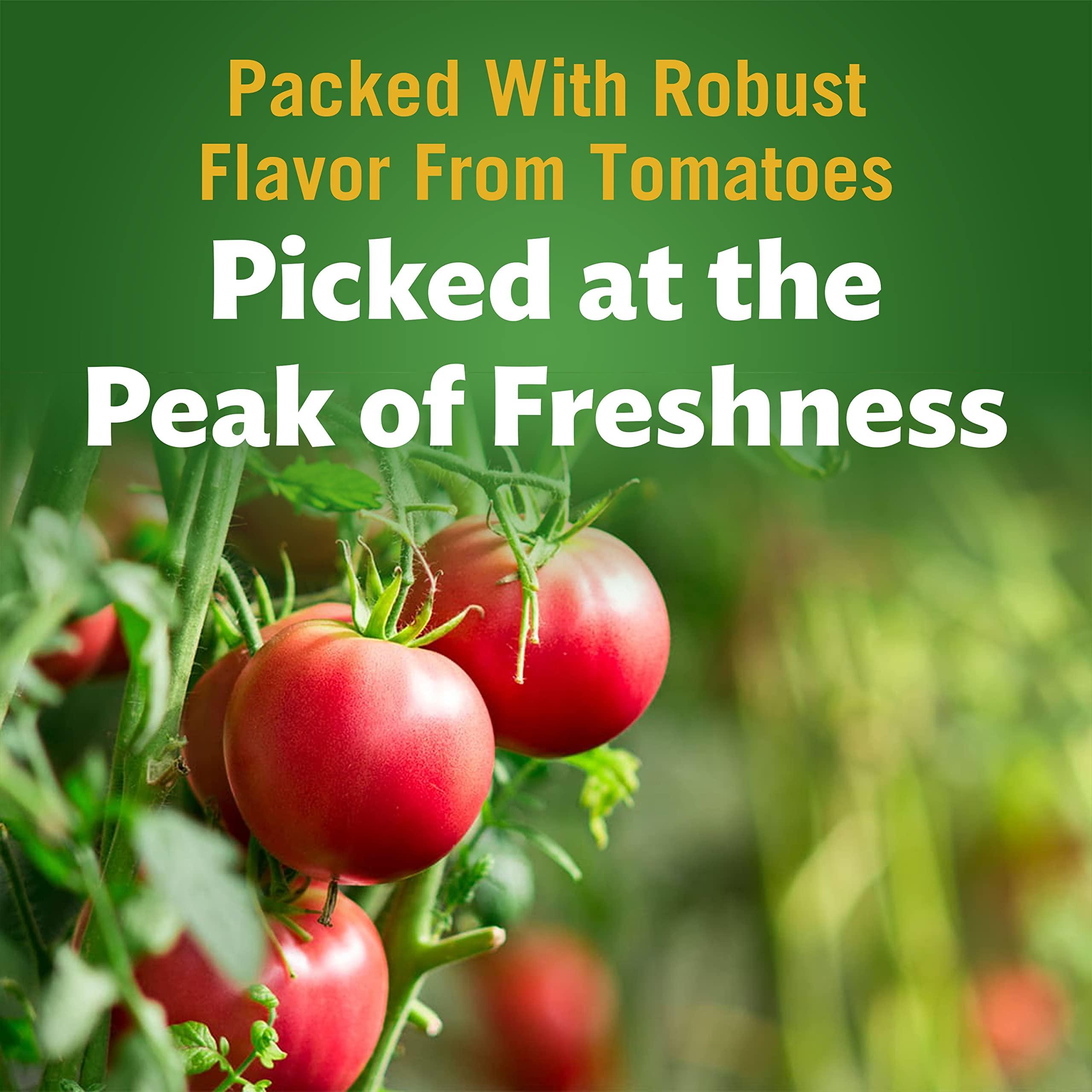 Del Monte DEL MONTE Tomato Ketchup, 24 oz Bottle