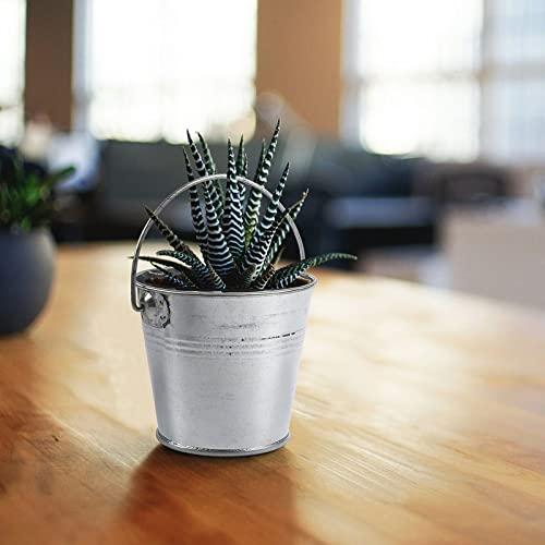 Juvale 10 Pack Small Metal Buckets for Party Favors, Tiny Galvanized Silver Pails for Crafts, Succulents (3.3 x 2.5 x 3 in)