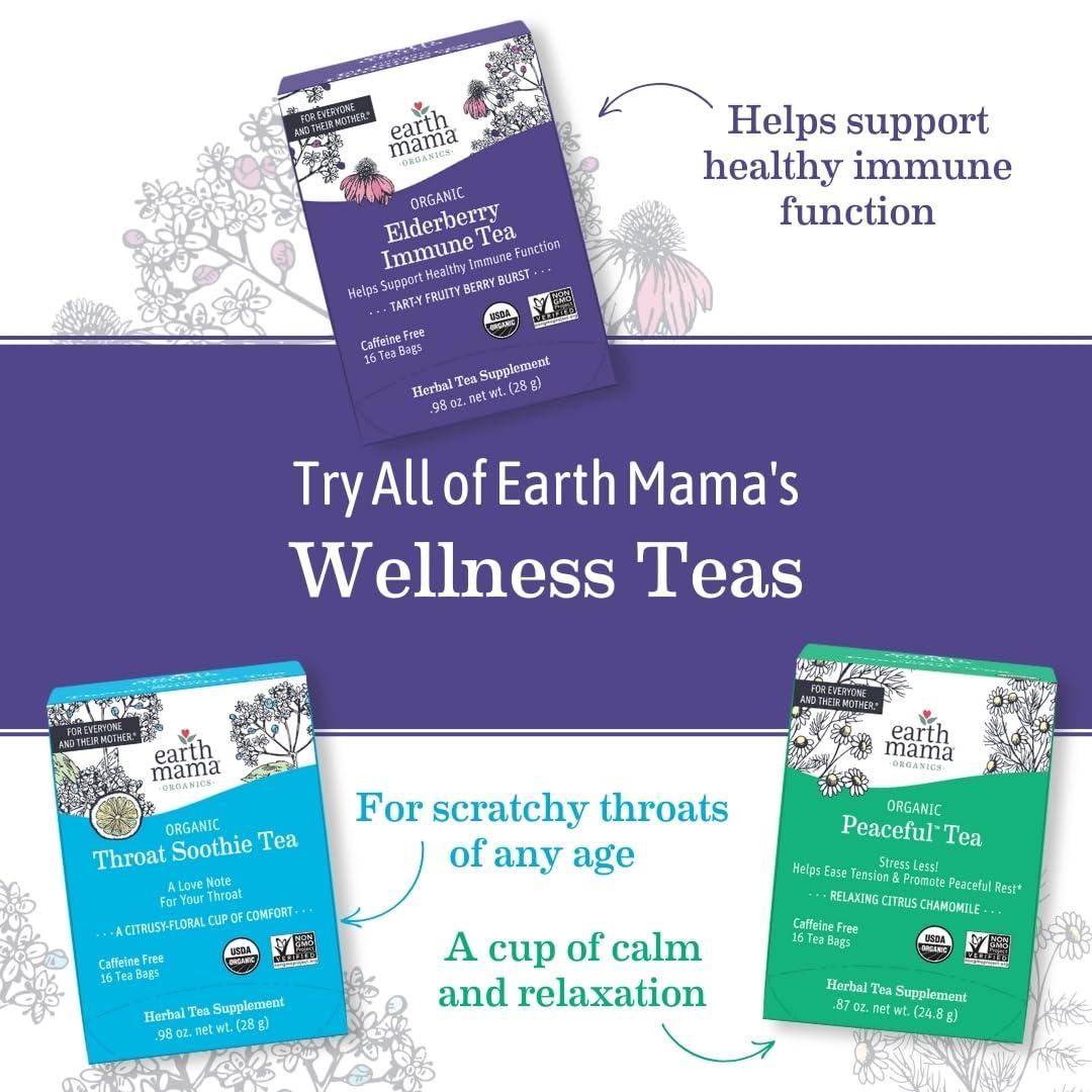 Earth Mama Earth Mama Organic Ginger Nausea Tea | Comforts Occasional Nausea + Morning Sickness, 16 Teabags Per Box