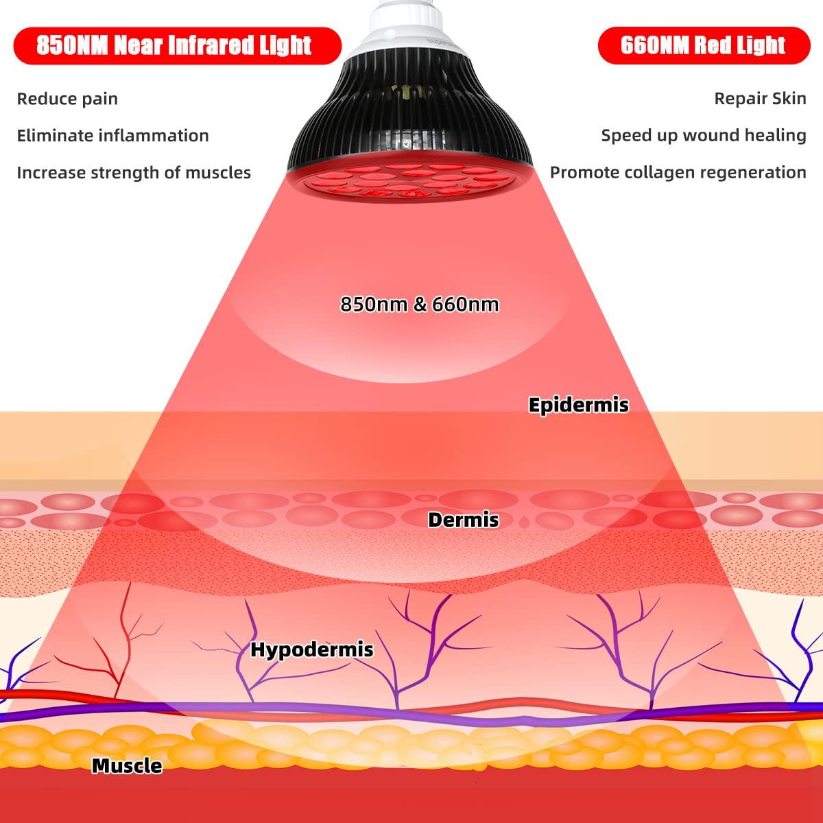 JVC JVC Ultimate Sleeping Earplugs, 35dB Noise Reduction, Water Resistance, Carrying case, Additional Ear-Pieces - EPS433 (White)