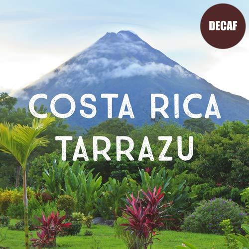 Volcanica Coffee Costa Rica Decaf Tarrazu Coffee, Whole Bean, Swiss Water Processed, Rainforest Certified, Fresh Roasted, 5 lbs