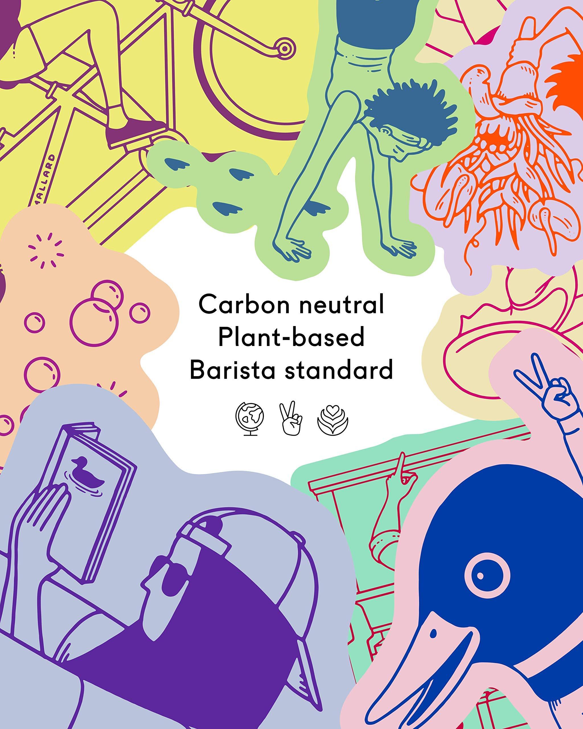 Minor Figures Minor Figures - Oat Milk - Standard - Barista Standard - 32 Oz - 6 Pack - Non Gmo - Plant Based - Vegan - Dairy Free - Shelf Stable - Unsweetened