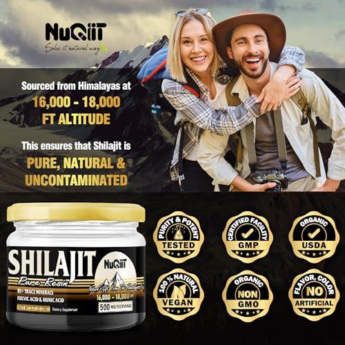 NUQIIT 2 Packs 20g Shilajit Supplement for 80-Serving Supply - Support Immunity, Brain Health & More - 500mg Shilajit Pure Himalayan Organic with Natural Fulvic Acid, Humic Acid & 85+ Trace Minerals