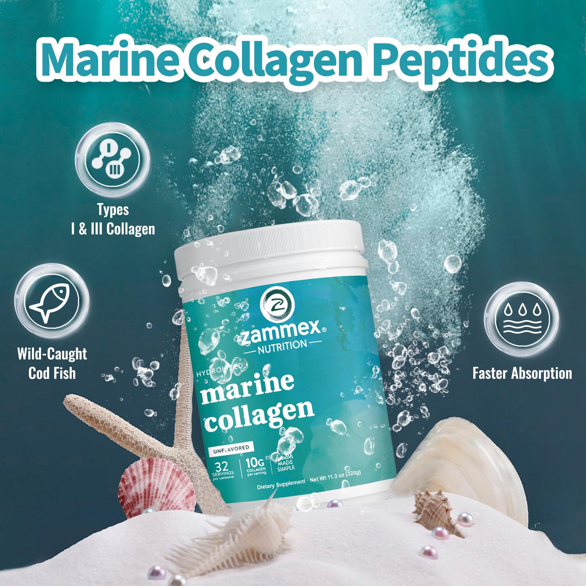 Zammex Zammex Marine Collagen Peptides Powder Unflavored, Wild-Caught Fish Collagen Powder, Supports Healthy Skin, Hair, Joints, Type 1 & 3 Collagen Supplement for Women - Easy to Mix. (32 Servings)