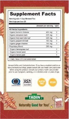Tadin Herb and Tea Tadin Organic Turmeric Ginger Tea, Herbal Tea, Digestive Tea, Organic Tea, Ginger Turmeric Tea, Caffeine Free Tea, Wellness Tea, 20 Tea Bags Per Box, Pack of 6