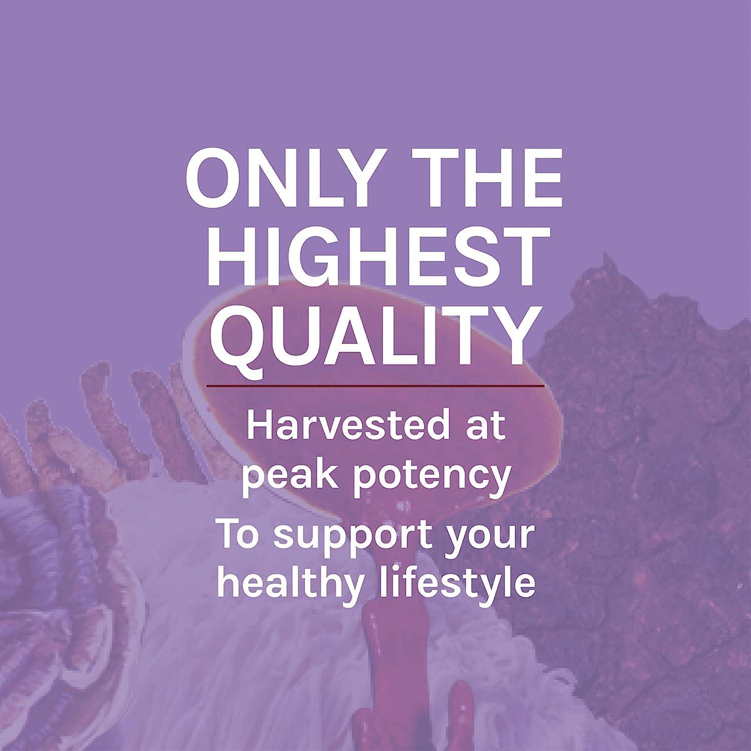 Host Defense Host Defense Mushrooms Lion's Mane - Brain Health Support Supplement for Focus & Memory Function - Immune & Nervous System Support Supplement - 120 Capsules (60 Servings)*