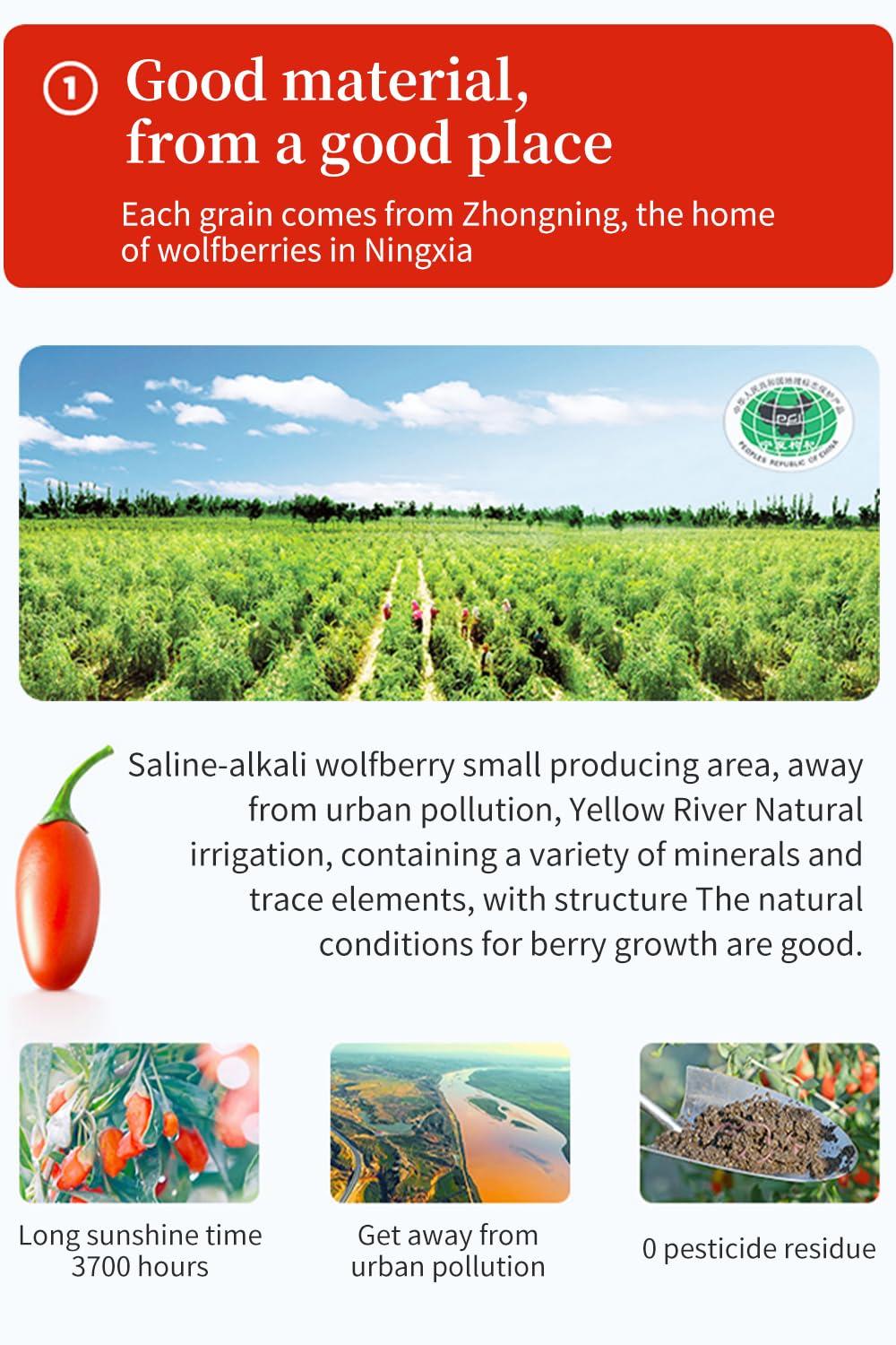 hee creek Goji Berries Fruit Puree Raw Liquid Drink (Wolfberries Juice) 100% pure juice Undiluted -15ml*20 PCSNo Added Sugar wolfberry tea goji puree goji juice (Wolfberries)