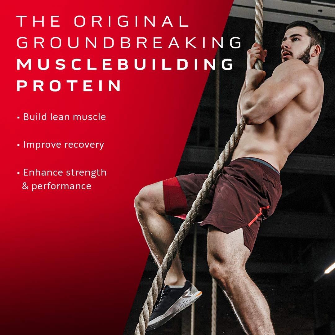 MuscleTech MuscleTech Cell-Tech Creatine Powder & Nitro-Tech Whey Protein Powder Bundle | Muscle Builder & Recovery Formula | 6 lbs Creatine & 4 lbs Whey | Strawberry Flavor