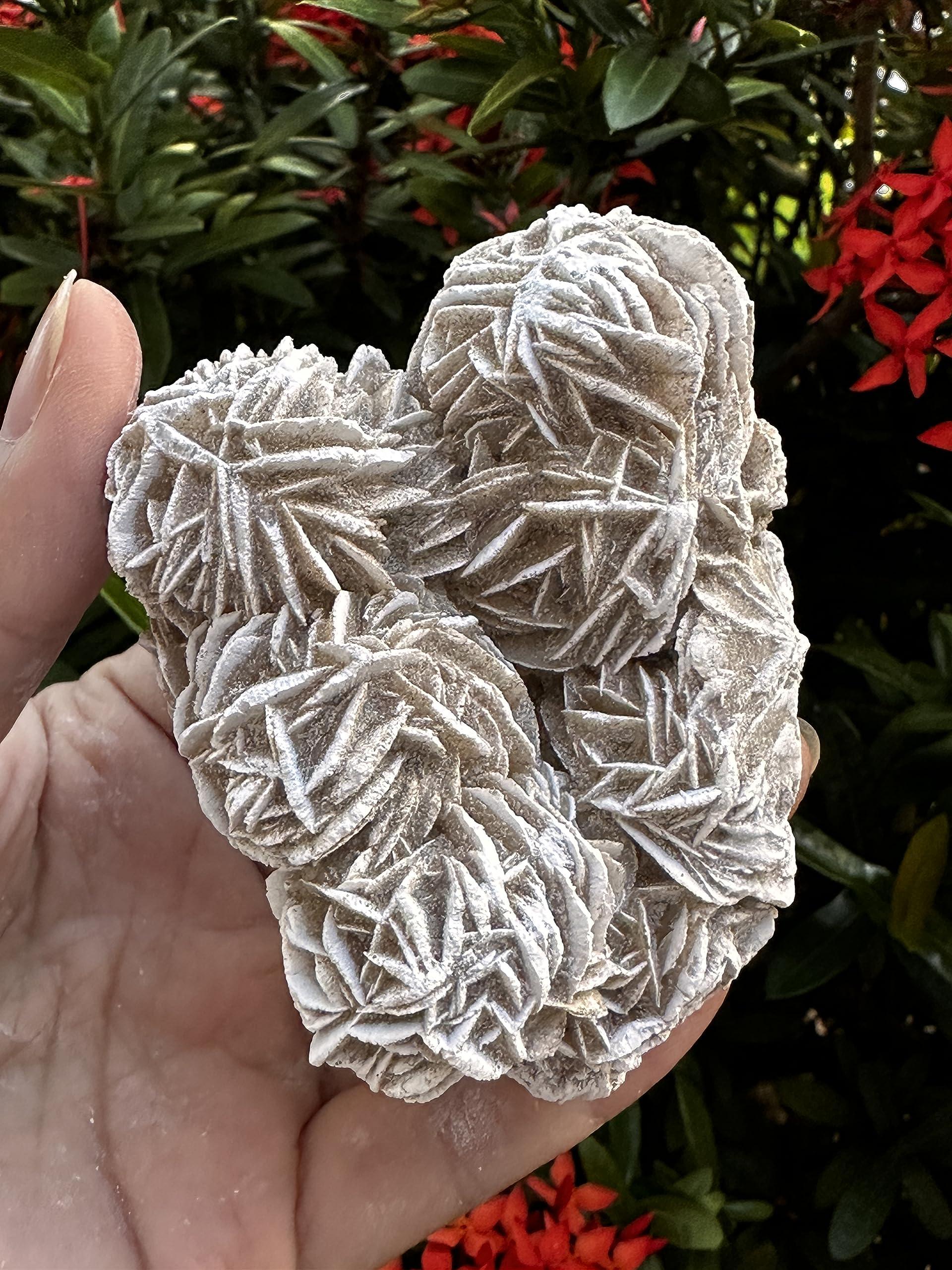 GAF TREASURES Large Desert Rose Cluster, Natural Desert Rose Selenite Stones, Desert Gypsum Rose, Raw Selenite Rose Crystal, Rose Rock, Sand Rose (0.3-0.5 lb)