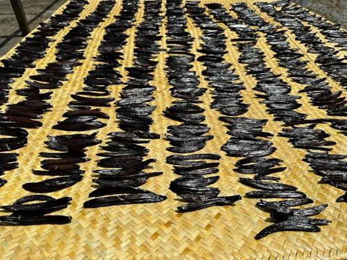 Vanilla Bean Kings 1 oz Guatemalan Vanilla Beans Whole Grade A Vanilla Pods for Homemade Vanilla Extract, Baking, Ice Cream, Flavoring, & Vanilla Powder
