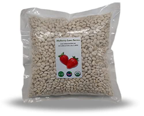 Mulberry Lane Farms Great Northern Beans, 5 Pounds USDA Certified Organic, Non-GMO, Dried, Bulk, Product of USA , Mulberry Lane Farms