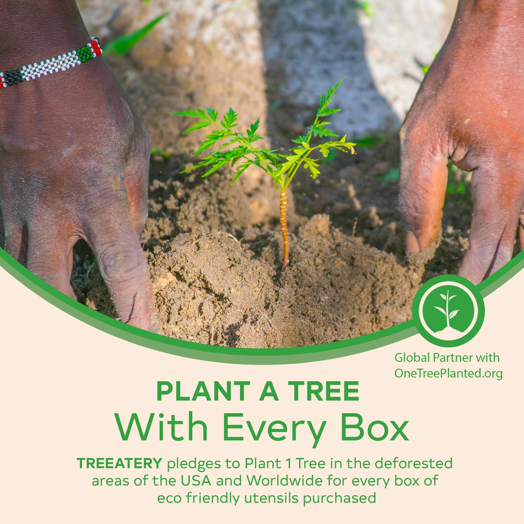 Treeatery Treeatery - Compostable Cutlery Set, Plant-Based Compostable Utensils Disposable, Dishwasher-Safe Compostable Silverware, 380-Piece Disposable Cutlery, Plant a Tree with Every Box, Charcoal Black