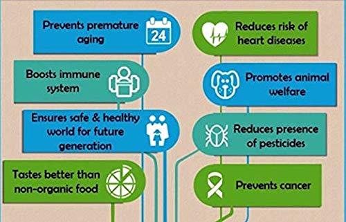 Brad Valley Medjool Dates Royal USDA ORGANIC Medjool Dates 2 Lbs. KOSHER Cetified