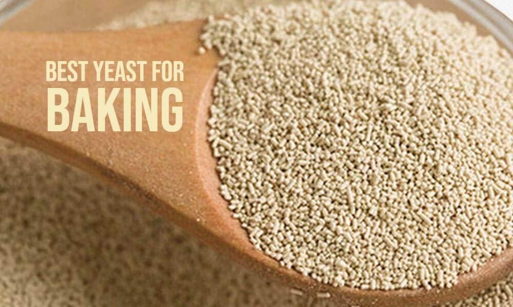 Generic Instant Dry Yeast Powder, 100g | Nutritional Yeast Powder for Baking | Active & Instant Yeast for Bread Making at Home | Instant Dry Yeast for Baking, Bread, Cake, Pizza & Wines