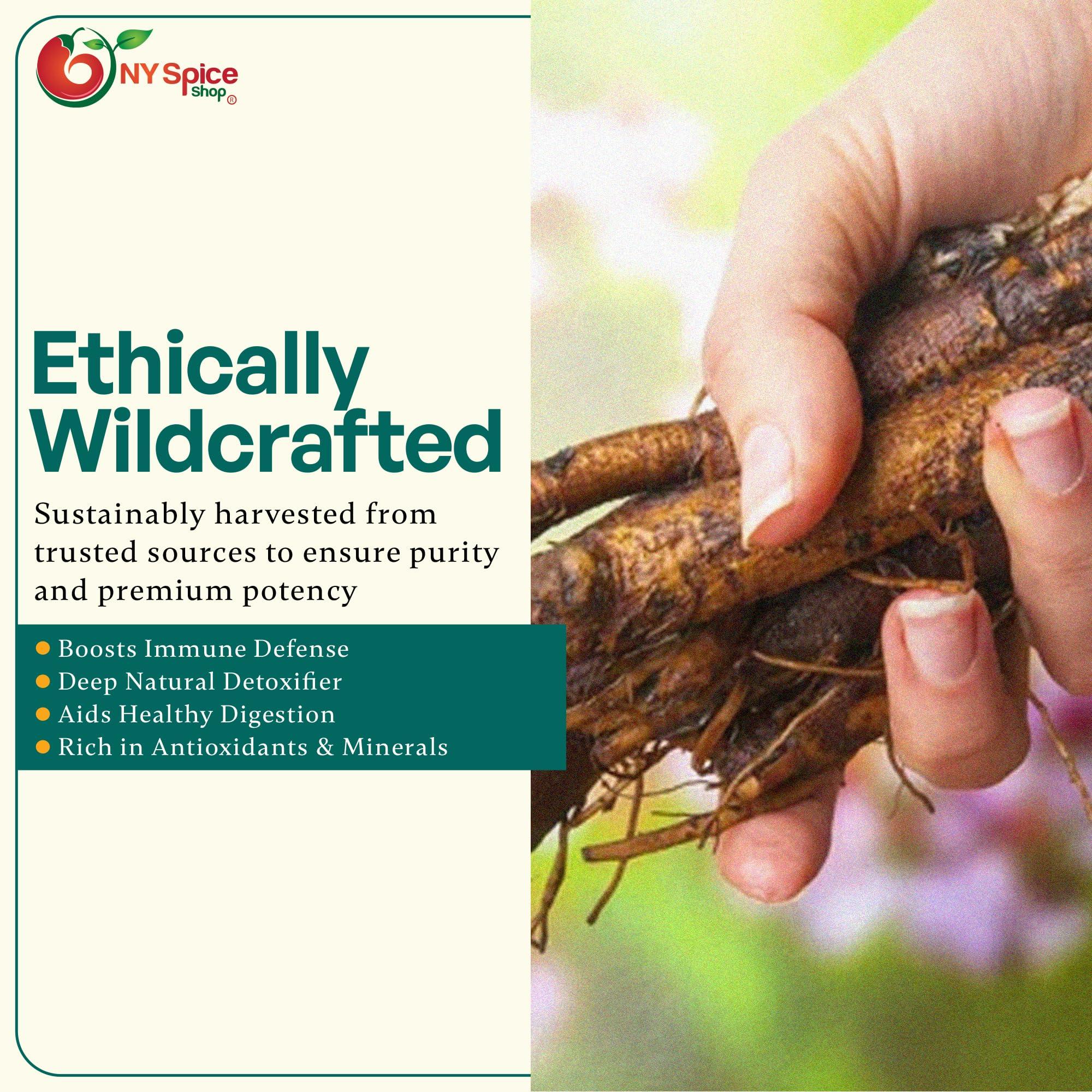 NY SPICE SHOP NY Spice Shop Dried Burdock Root Cut & Sifted - 1 Pound Fresh Burdock Root for Burdock Root Herbal Tea - Burdock Root Extract - Herbal Burdock Root Herb - Burdock Roots - Arctium Lappa L. Roots