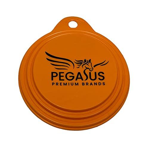 Pegasus Premium Brands Pegasus Premium Variety Pack - Weber American BBQ Seasoning 9.1oz (2-Pack) and Pegasus Premium Brands 3-Step Lid Cover