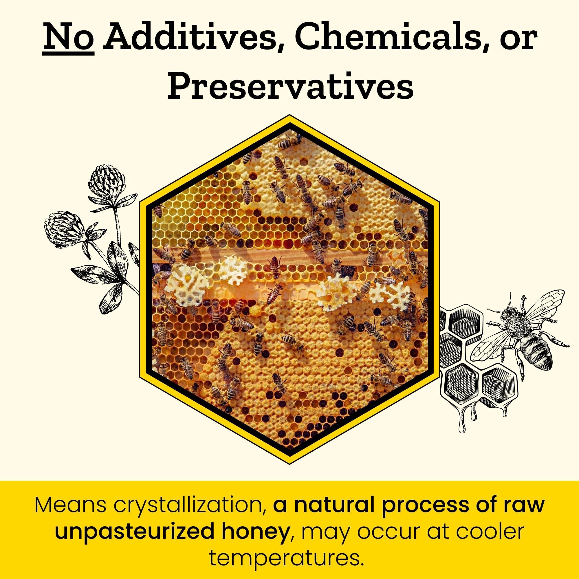 Carpathian Healer Carpathian Raw Buckwheat Honey | 100% Pure, Unfiltered, Unpasteurized, Ethically Sourced | Glass Jar, 908g