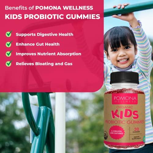 Pomona Wellness Pomona Wellness Organic Probiotic Gummies for Kids, Supports Digestive and Immune Health Helps Minor Abdominal Discomfort & Bloating, Strawberry Flavor, USDA Organic, Vegan, Non-GMO, 30 Count (2 Pack)