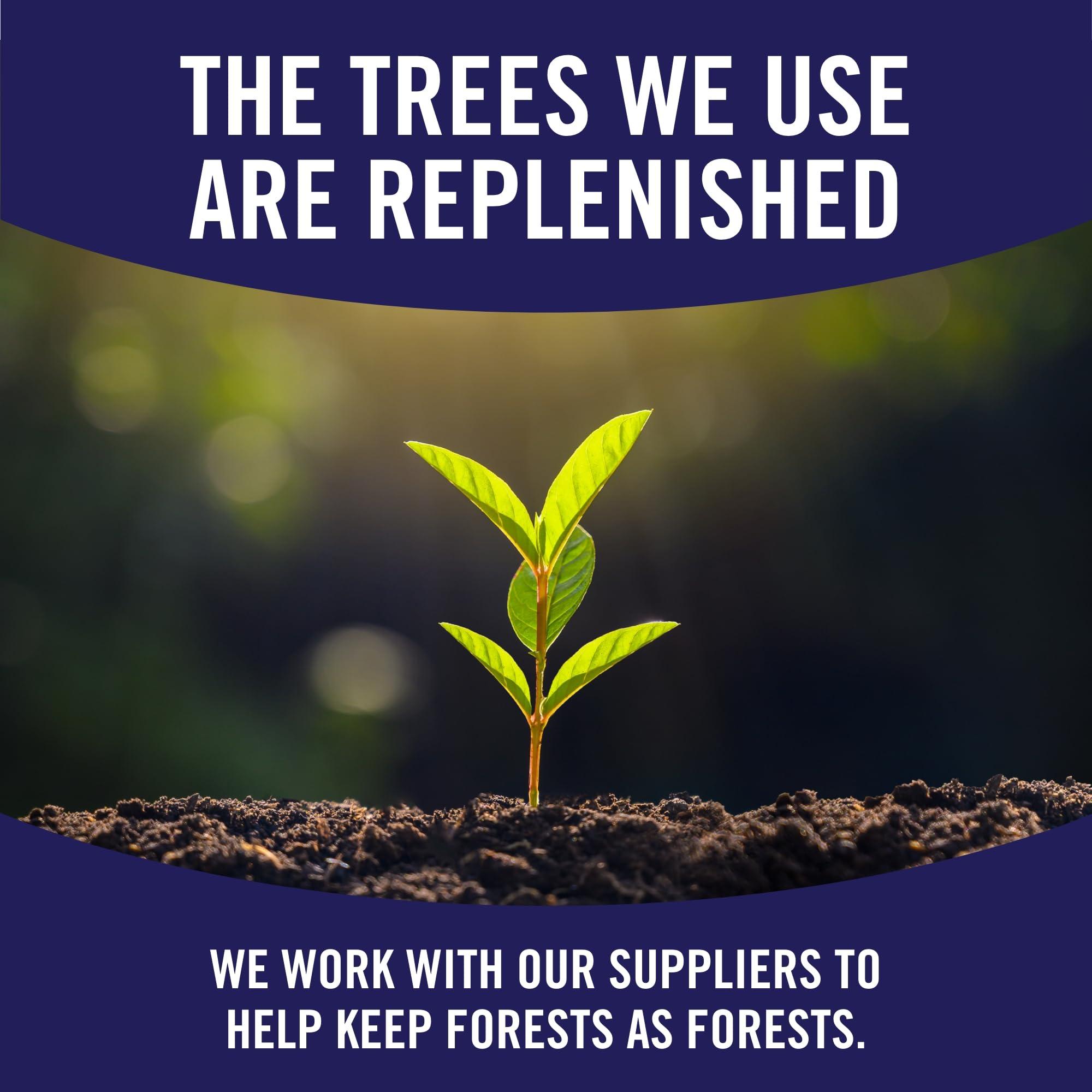 SPARKLE Sparkle Pick-A-Size Paper Towels, 24 Double Rolls = 48 Regular Rolls, Everyday Value Paper Towel with Full and Half Sheets