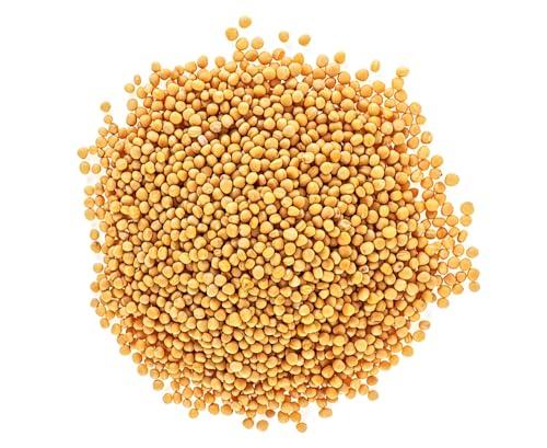 CZ Grain Yellow Mustard Seeds for Planting - Grow Mustard Herb Plants (10 Pounds)