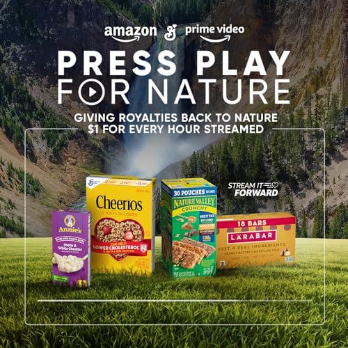 Cheerios Big G Cereal Honey Nut Cheerios Gluten Free Cereal, 4PK CUP 7.2OZ