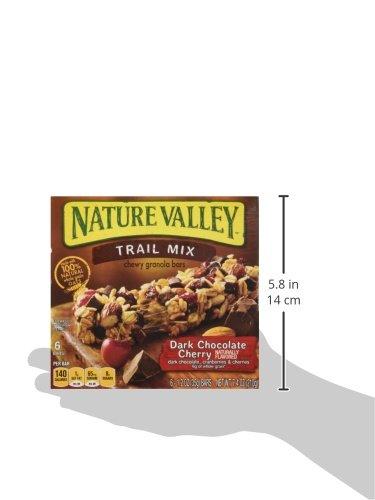 Nature Valley Nature Valley Chewy Trail Mix, Dark Chocolate Cherry Granola Bars 7.4 Oz (Pack of 4)