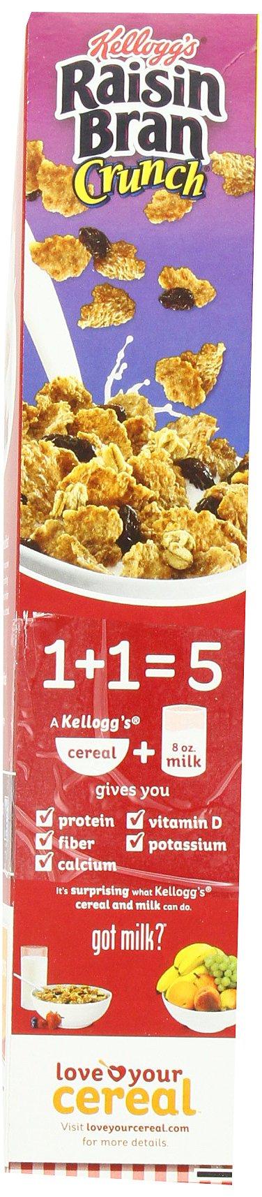 Raisin Bran Kellogg's Raisin Bran Crunch 24.8-ounce (Pack of 2)