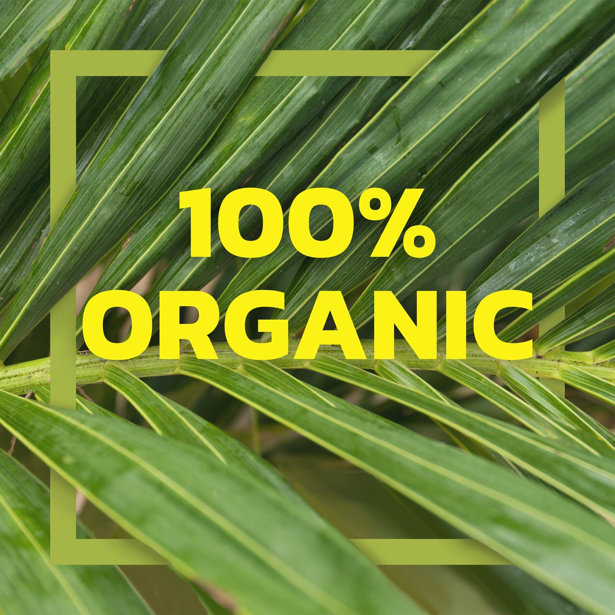 Native Forest Native Forest Organic Tropical Fruit Salad - Canned Fruit in Natural Juice, Tropical Fruit Cocktail, Tropical Fruit Salad Organic - 14 Oz (Pack of 6)