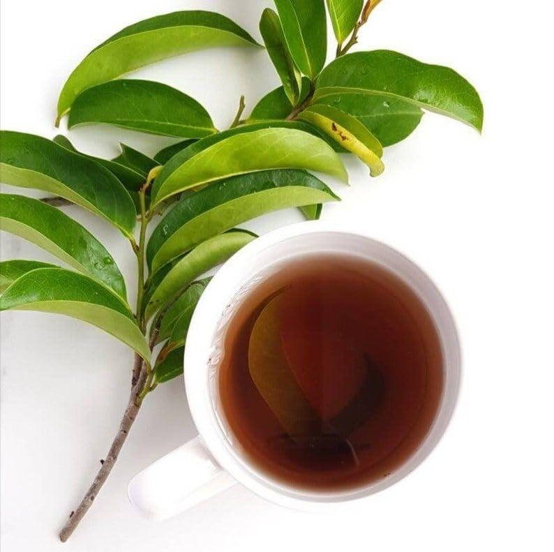 biosavory BioSavoryUS - ORGANIC SOURSOP LEAVES (300 leaves approx. per Bag) for TEA, 4.5oz