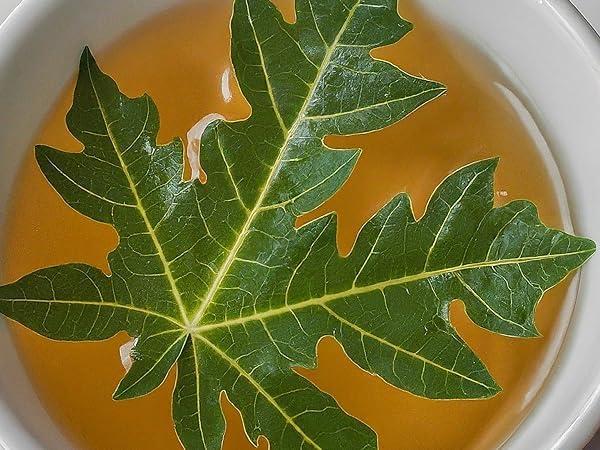 Akshit 5.2oz Dried Papaya Leaves, Natural Loose Leaves, Hojas De Papaya Leaves, Herbal Tea, Caffeine-Free, Non Gmo, Gluten-Free, Vegan. Makes 56+ Cups of Fresh Papaya Tea. By Akshit.